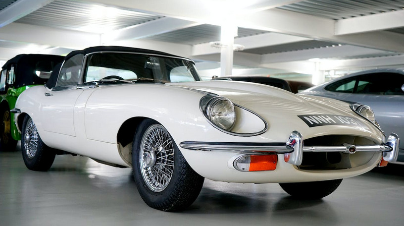 jaguar